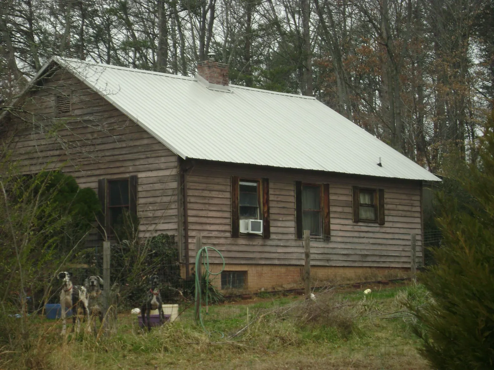 White metal roof on an old wood sided farmhouse, from a Asphalt Shingle Roof Repair job in Crump